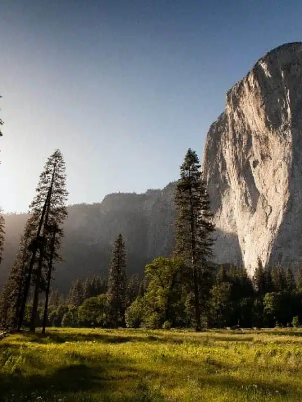 Articles / Blog - Maison Akasha Yoga Falaise et sapins en montagne près de Campan