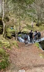 Livre d'Or | Maison Akasha Yoga Hautes-Pyrénées