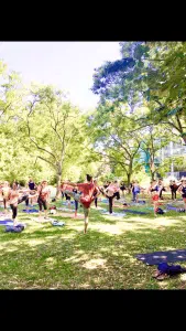 Les 5 Éléments | Maison Akasha Yoga Hautes-Pyrénées