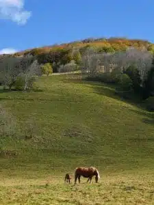 Livre d'Or | Maison Akasha Yoga Hautes-Pyrénées