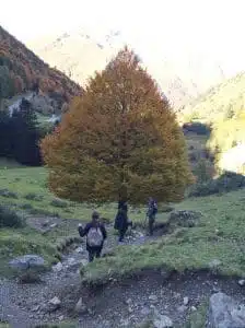 Livre d'Or | Maison Akasha Yoga Hautes-Pyrénées
