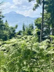 Livre d'Or | Maison Akasha Yoga Hautes-Pyrénées