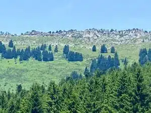 Livre d'Or | Maison Akasha Yoga Hautes-Pyrénées