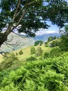 Livre d'Or | Maison Akasha Yoga Hautes-Pyrénées