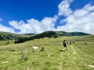 Livre d'Or | Maison Akasha Yoga Hautes-Pyrénées