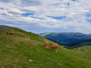 Livre d'Or | Maison Akasha Yoga Hautes-Pyrénées