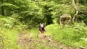 Livre d'Or | Maison Akasha Yoga Hautes-Pyrénées