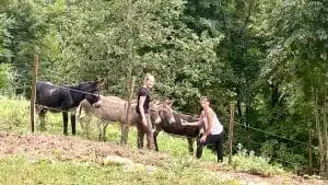 Livre d'Or | Maison Akasha Yoga Hautes-Pyrénées