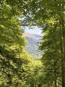 Livre d'Or | Maison Akasha Yoga Hautes-Pyrénées