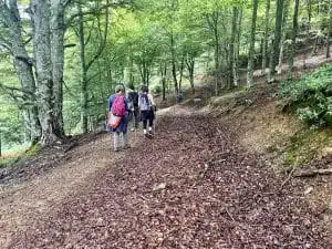 Livre d'Or | Maison Akasha Yoga Hautes-Pyrénées