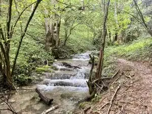 Livre d'Or | Maison Akasha Yoga Hautes-Pyrénées