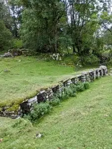 Livre d'Or | Maison Akasha Yoga Hautes-Pyrénées