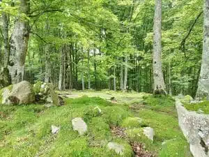 Livre d'Or | Maison Akasha Yoga Hautes-Pyrénées
