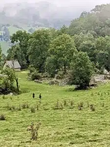 Livre d'Or | Maison Akasha Yoga Hautes-Pyrénées