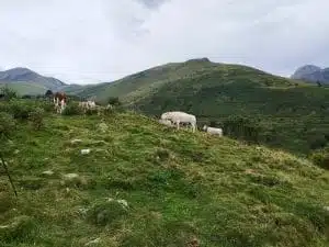 Livre d'Or | Maison Akasha Yoga Hautes-Pyrénées