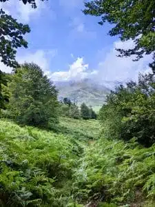 Livre d'Or | Maison Akasha Yoga Hautes-Pyrénées