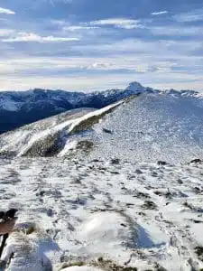 Livre d'Or | Maison Akasha Yoga Hautes-Pyrénées