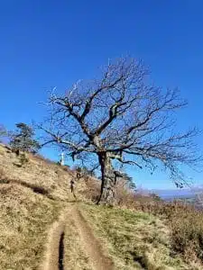 Livre d'Or | Maison Akasha Yoga Hautes-Pyrénées