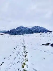 Livre d'Or | Maison Akasha Yoga Hautes-Pyrénées