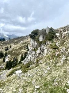 Livre d'Or | Maison Akasha Yoga Hautes-Pyrénées