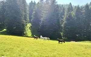 Livre d'Or | Maison Akasha Yoga Hautes-Pyrénées
