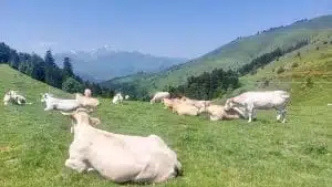 Livre d'Or | Maison Akasha Yoga Hautes-Pyrénées