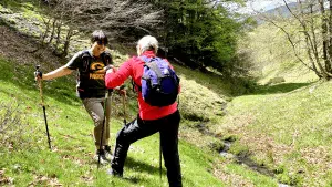 Livre d'Or | Maison Akasha Yoga Hautes-Pyrénées
