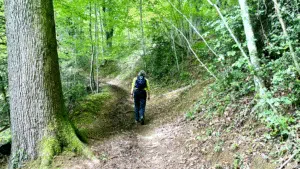 Livre d'Or | Maison Akasha Yoga Hautes-Pyrénées