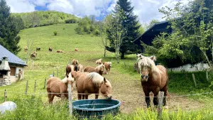Livre d'Or | Maison Akasha Yoga Hautes-Pyrénées