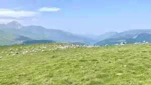 Livre d'Or | Maison Akasha Yoga Hautes-Pyrénées