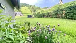 Livre d'Or | Maison Akasha Yoga Hautes-Pyrénées