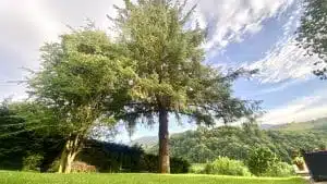 Livre d'Or | Maison Akasha Yoga Hautes-Pyrénées