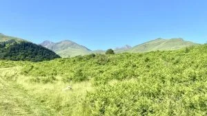 Livre d'Or | Maison Akasha Yoga Hautes-Pyrénées