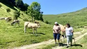 Livre d'Or | Maison Akasha Yoga Hautes-Pyrénées
