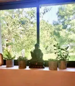 Livre d'Or | Maison Akasha Yoga Hautes-Pyrénées