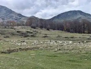 Livre d'Or | Maison Akasha Yoga Hautes-Pyrénées