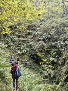 Livre d'Or | Maison Akasha Yoga Hautes-Pyrénées