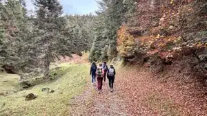 Livre d'Or | Maison Akasha Yoga Hautes-Pyrénées