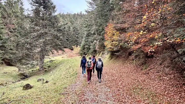 Livre d'Or - Maison Akasha Yoga Souvenir de stage yoga et randonnée chez Maison Akasha, Hautes-Pyrénées, du 31 octobre au 3 novembre 2025, photo 5