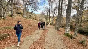 Livre d'Or | Maison Akasha Yoga Hautes-Pyrénées