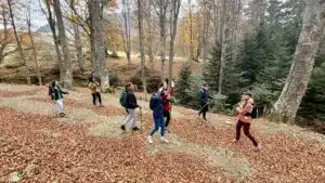 Livre d'Or | Maison Akasha Yoga Hautes-Pyrénées