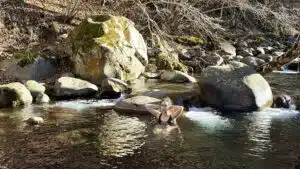 Livre d'Or | Maison Akasha Yoga Hautes-Pyrénées