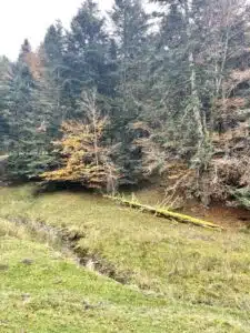 Livre d'Or | Maison Akasha Yoga Hautes-Pyrénées