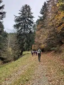 Livre d'Or | Maison Akasha Yoga Hautes-Pyrénées