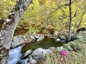 Livre d'Or | Maison Akasha Yoga Hautes-Pyrénées