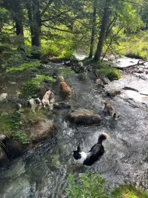 Livre d'Or | Maison Akasha Yoga Hautes-Pyrénées