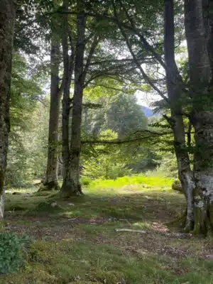 Livre d'Or | Maison Akasha Yoga Hautes-Pyrénées