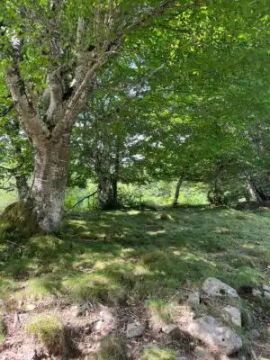 Livre d'Or | Maison Akasha Yoga Hautes-Pyrénées