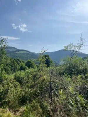 Livre d'Or | Maison Akasha Yoga Hautes-Pyrénées
