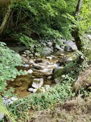 Livre d'Or | Maison Akasha Yoga Hautes-Pyrénées